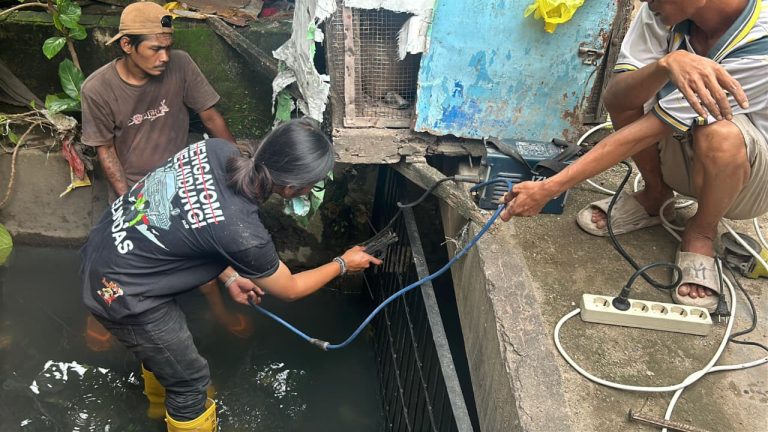 WhatsApp Image 2026-02-02 at 21.45.02