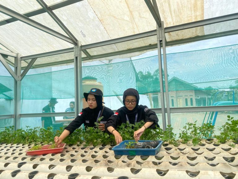 WhatsApp Image 2026-02-03 at 02.16.21