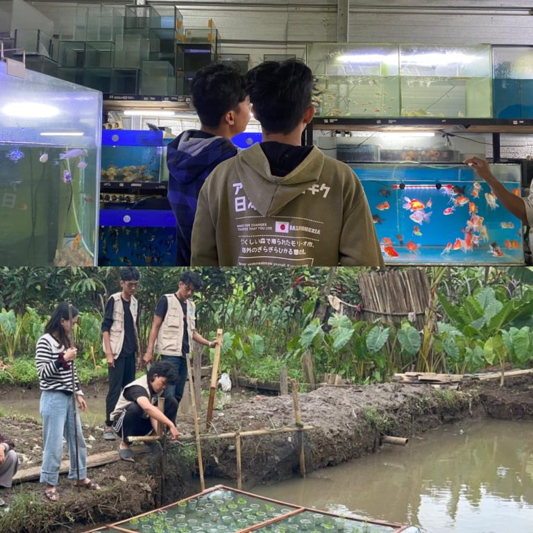 WhatsApp Image 2026-02-03 at 13.53.09