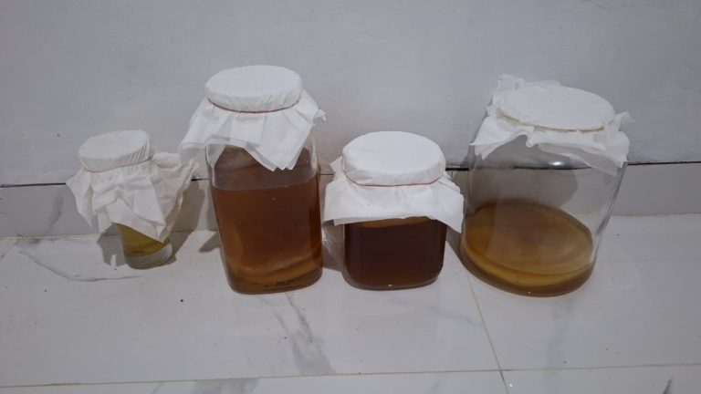 WhatsApp Image 2026-02-05 at 01.16.13