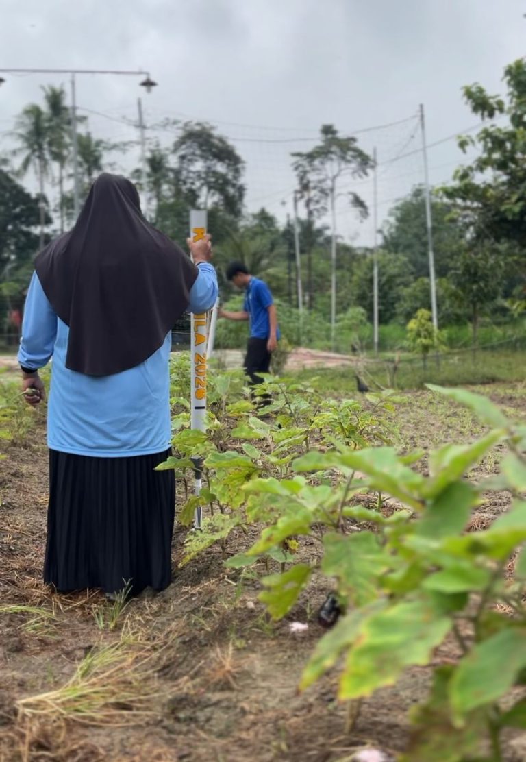 WhatsApp Image 2026-02-05 at 07.53.19