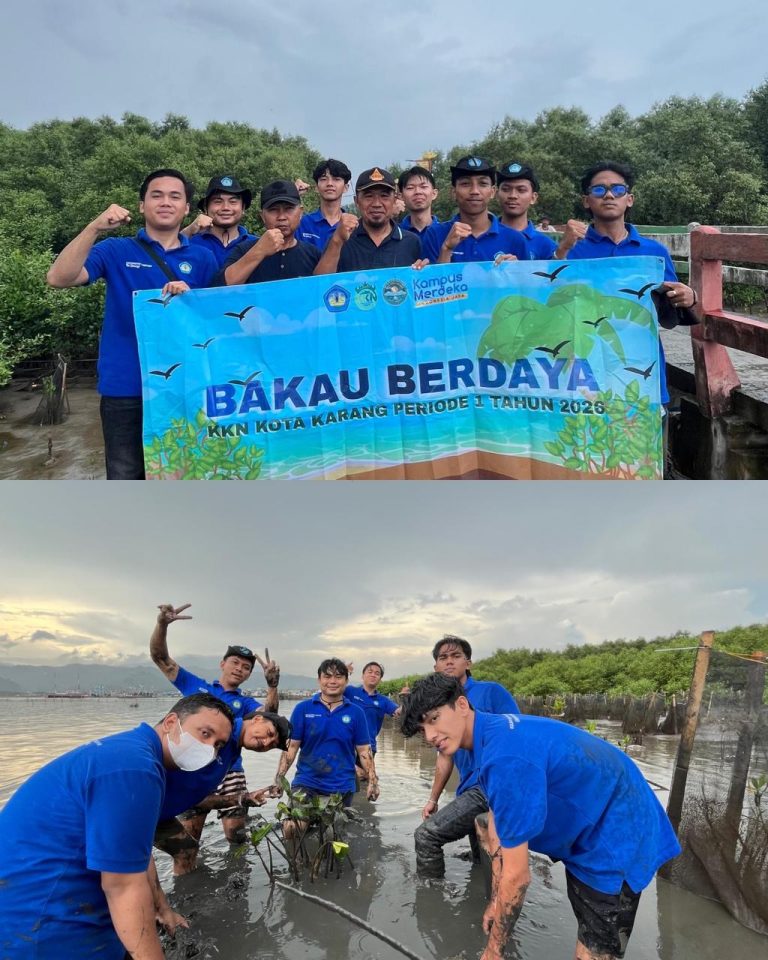 penanaman bibit mangrove