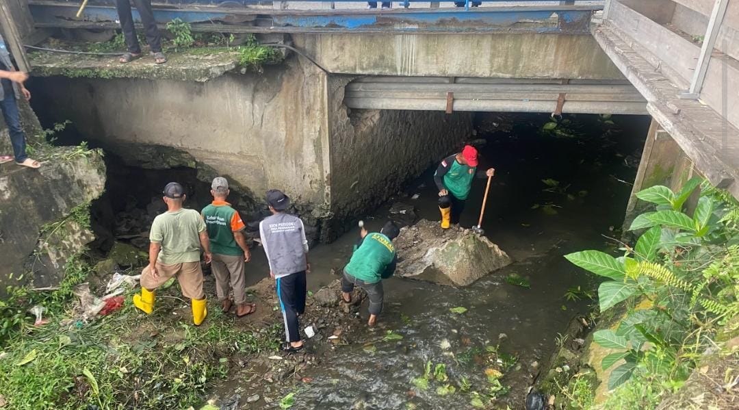 WhatsApp Image 2026-02-06 at 11.17.09