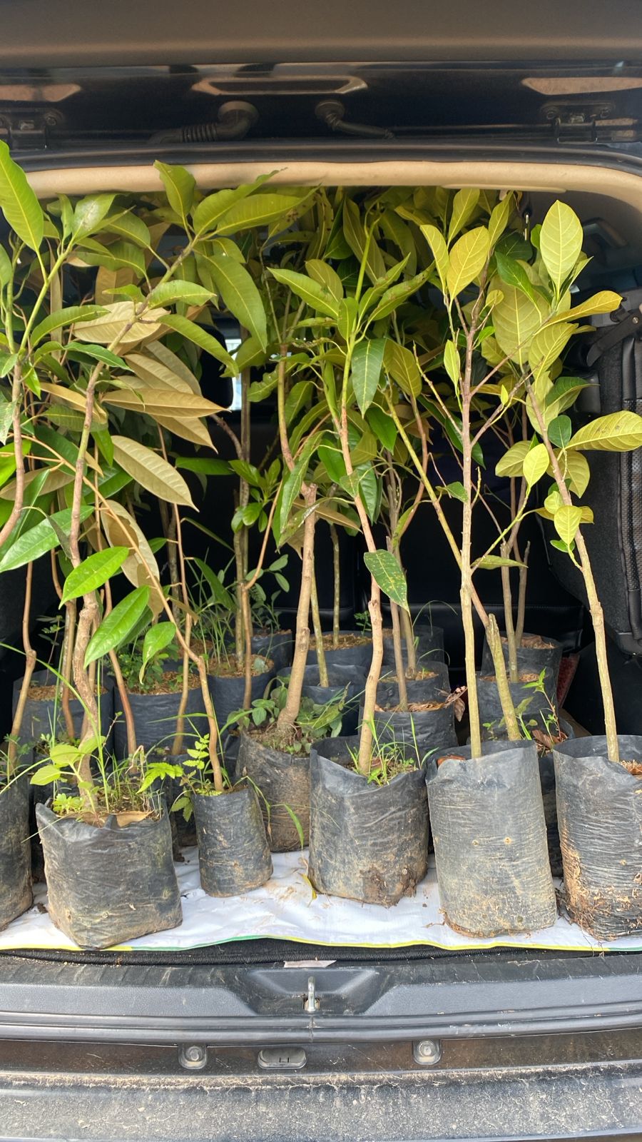 WhatsApp Image 2026-02-06 at 8.50.00 AM