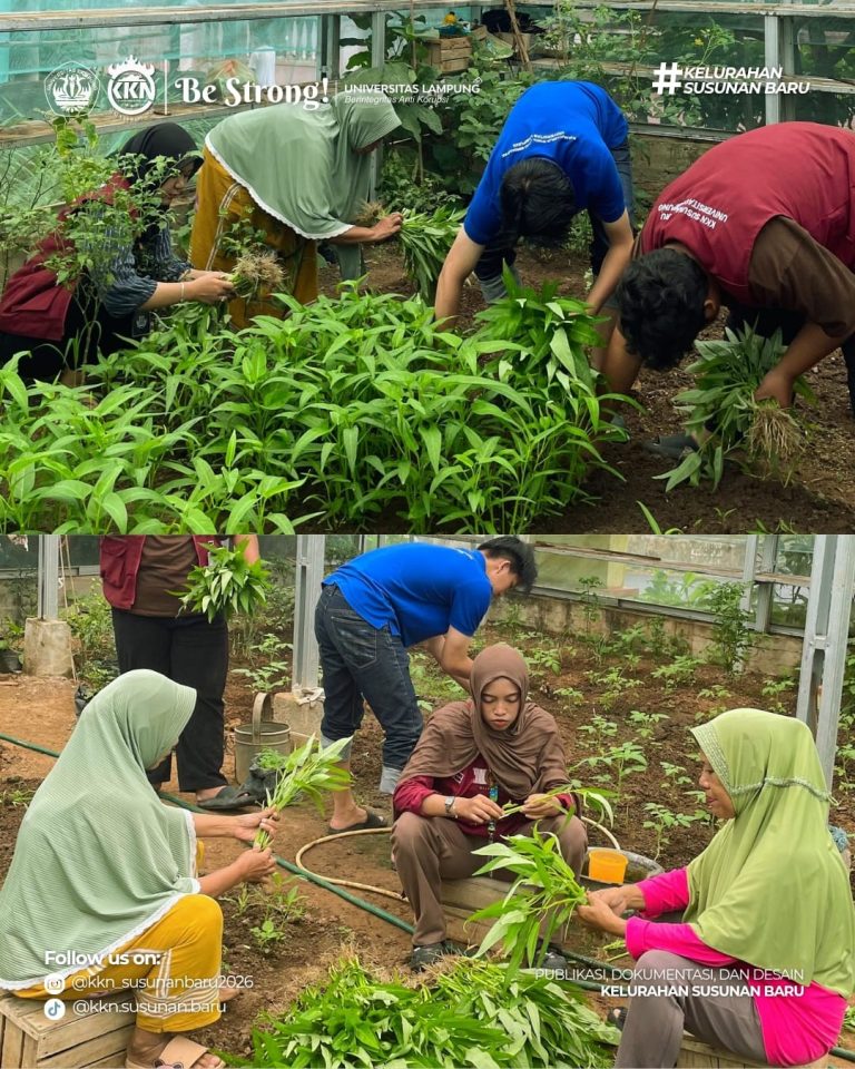 WhatsApp Image 2026-02-07 at 12.57.14