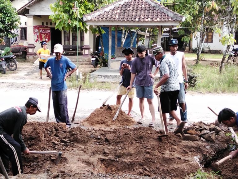 e1002d63-238c-4157-8440-1fca32274f00