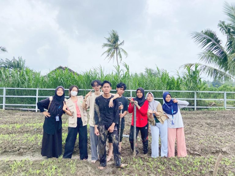 pemasangan biopori
