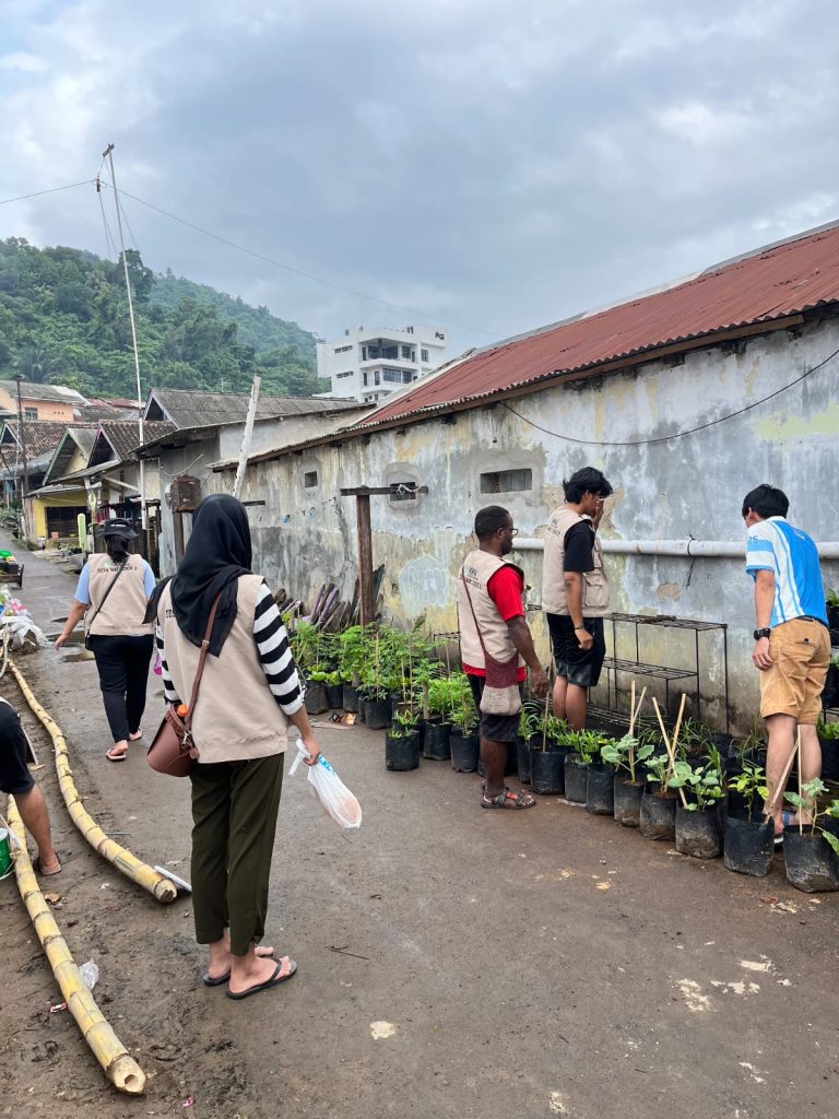 Penanaman Toga dan Beberapa Tanaman Hortikultura