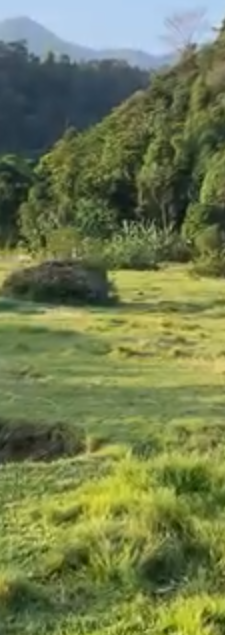 1000504740