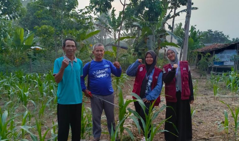 DAY 21 MONITORING PESTISIDA DAN PSB
