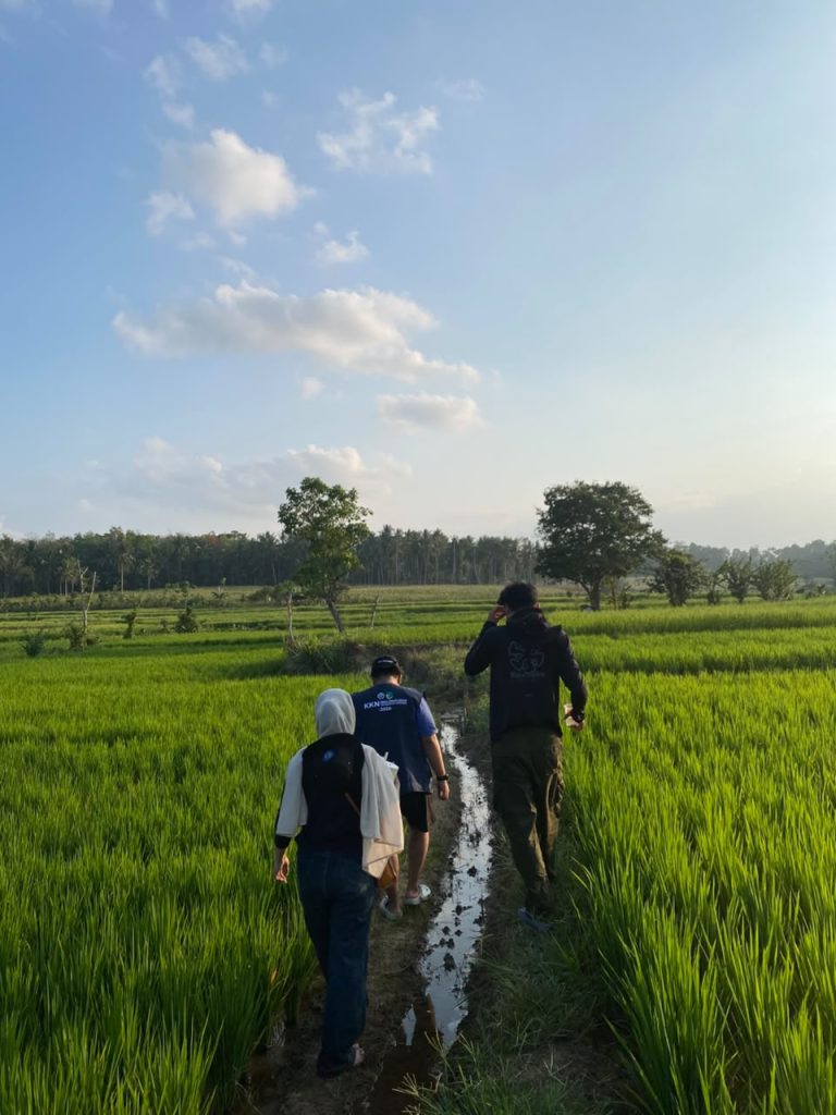 SAWAH