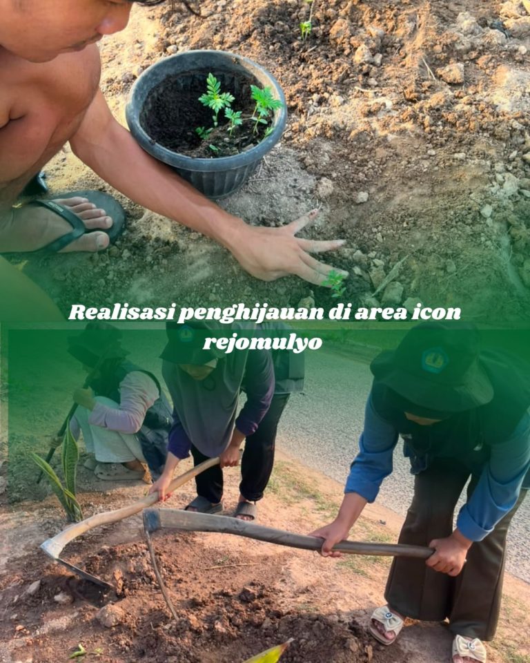 WhatsApp Image 2026-08-06 at 22.40.19