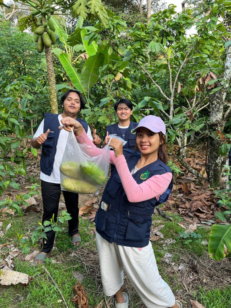 kebon_1_1_1_optimized_1000